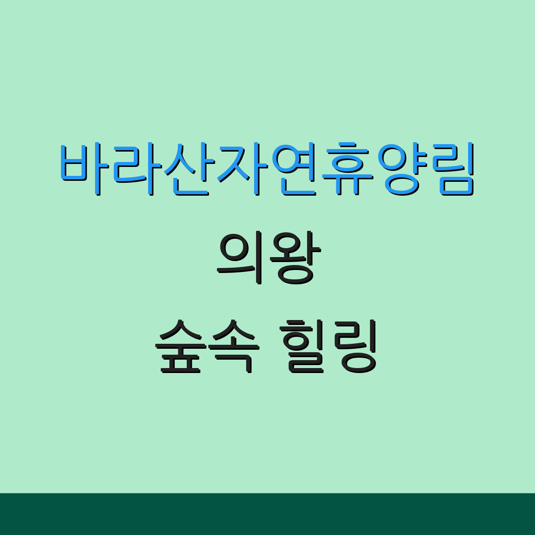 바라산자연휴양림 의왕 숲속 힐링 | 바베큐 파티 | 자연 탐방