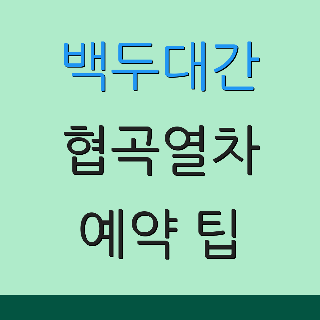 백두대간 협곡열차 예약 팁 | 좌석 확인법 | 여행 정보