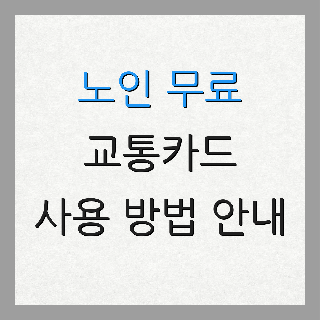 노인 무료 교통카드 사용 방법 안내 | 신청 가이드 | 제공 혜택 설명