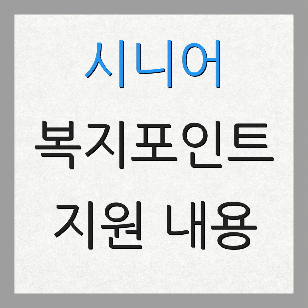 시니어 복지포인트 지원 내용 | 사용 방법 안내 | 신청 절차 설명