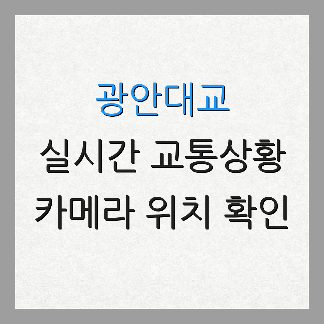 광안대교 실시간 교통상황 카메라 위치 확인 | 요금 체계 안내 | 혼잡도 조회 방법
