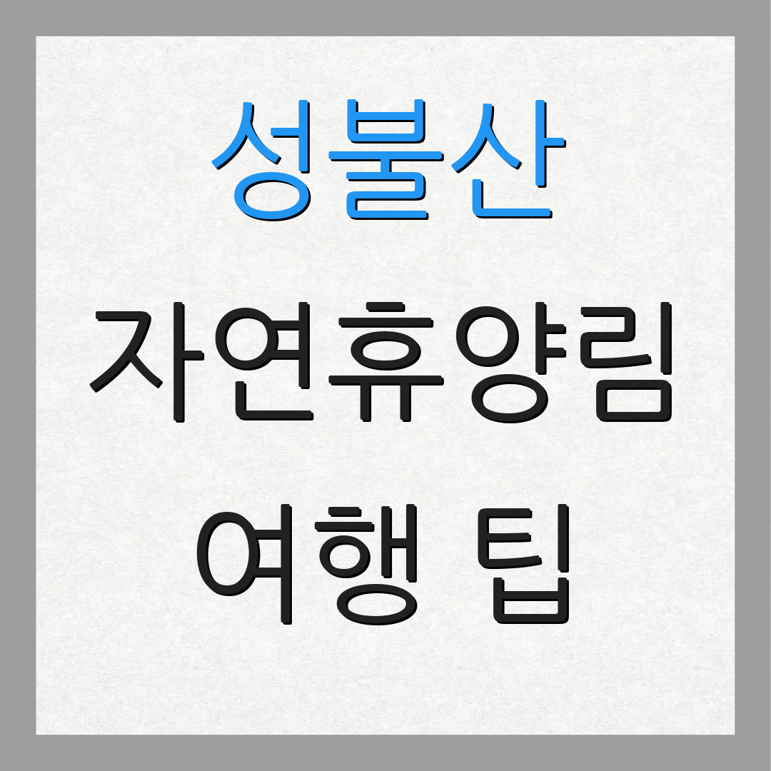 성불산 자연휴양림 여행 팁 | 괴산 숙소 | 바베큐 이용 안내