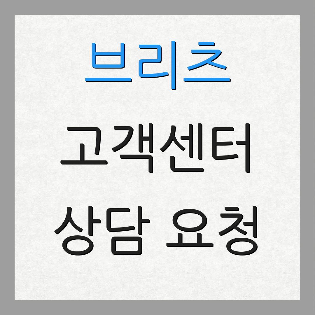 브리츠 고객센터 상담 요청 | 서비스 안내 | 추가 정보
