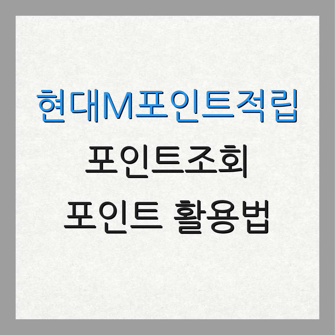 현대M포인트적립 포인트조회 포인트 활용법 | 적립 방법 | 잔여 포인트 확인
